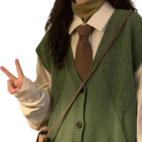 Preppy Knit Sweater Vest